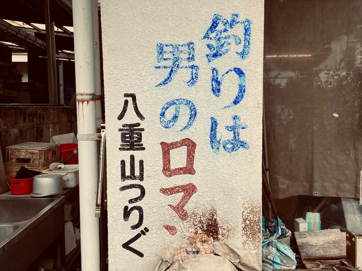 ナマケモノ日記